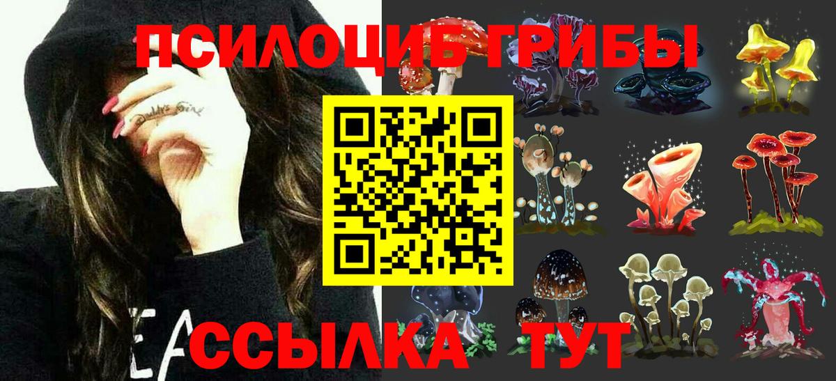 Псилоцибиновые грибы Psilocybe  Вход с VPN  Юрга 
