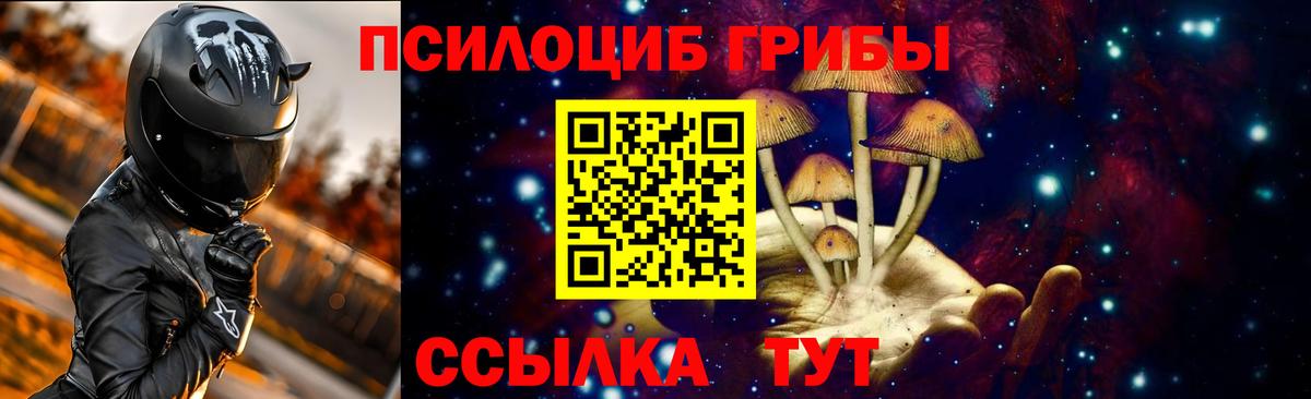 Галлюциногенные грибы прущие грибы Юрга